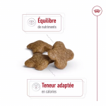 Royal Canin-MiniAdulte +8 Ans (1)