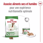 Royal Canin-MiniAdulte +8 Ans (1)