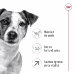 Royal Canin-MiniAdulte +8 Ans (1)