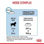 Royal Canin-Giant Puppy Races Géantes (1)