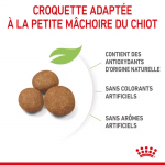 Royal Canin-Giant Puppy Races Géantes (1)