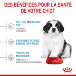 Royal Canin-Giant Puppy Races Géantes (1)