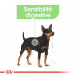 Royal Canin-Mini Sensible Petites Races (1)