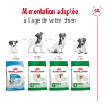 Royal Canin-Mini Adulte Petites Races (1)