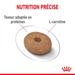 Royal Canin-Mini Light Petites Races (1)