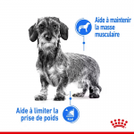 Royal Canin-Mini Light Petites Races (1)