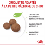 Royal Canin-Medium Junior Chiots Races Moyennes (1)