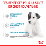 Royal Canin-Lait pour Chiots (1)
