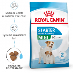 Royal Canin-Mini Starter Gestation/Allaitement (1)