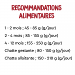 Ownat Classic-Feline Kitten (1)