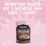 Ownat Wetline comida húmeda para gatos kitten salmon & turkey