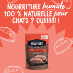 Ownat Wetline comida húmeda para gatos veal & turkey