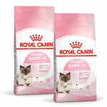 Royal Canin-BabyCat Gestation/Allaitement (1)