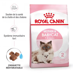 Royal Canin-BabyCat Gestation/Allaitement (1)