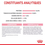 Royal Canin-BabyCat Gestation/Allaitement (1)