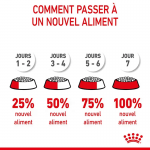 Royal Canin-BabyCat Gestation/Allaitement (1)