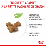Royal Canin-Croquettes pour Chaton (1)