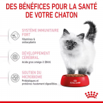 Royal Canin-Croquettes pour Chaton (1)