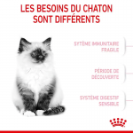 Royal Canin-Croquettes pour Chaton (1)