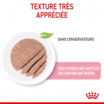 Royal Canin Mère & Chaton nourriture humide pour chatons et chats allaitantes