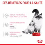 Royal Canin Mère & Chaton nourriture humide pour chatons et chats allaitantes