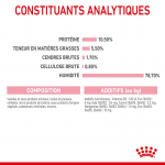 Royal Canin Mère & Chaton nourriture humide pour chatons et chats allaitantes