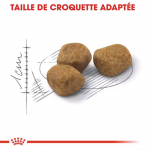 Royal Canin Regular Fit 32 nourriture pour chats adultes