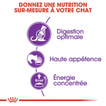 Royal Canin Regular Sensible 33 alimentation pour chats adultes