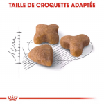 Royal Canin Regular Sensible 33 alimentation pour chats adultes