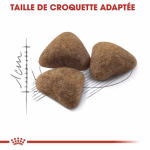 Royal Canin Home Life Indoor 27 alimentation pour chats adultes