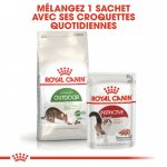 Royal Canin Active Life Outdoor nourriture pour chats adultes