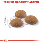 Royal Canin Active Life Outdoor nourriture pour chats adultes