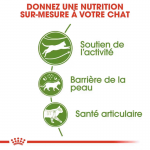 Royal Canin Active Life Outdoor nourriture pour chats adultes