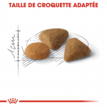 Royal Canin Savour Exigent nourriture pour chat adulte