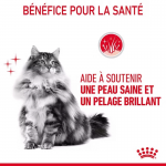 Royal Canin Hair&Skin Care nourriture pour chats adultes à la peau sensible