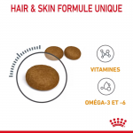 Royal Canin Hair&Skin Care nourriture pour chats adultes à la peau sensible