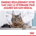 Royal Canin Hair&Skin Care nourriture pour chats adultes à la peau sensible