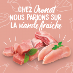 Pack Nourriture Humide pour Chiens à la Dinde Ownat Wetline Turkey & Pumpkin