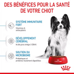 Royal Canin X-Small Puppy nourriture pour chiots de races mini
