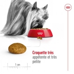 Royal Canin X-Small Adult croquettes pour chien adulte de races mini