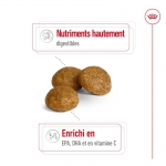 Royal Canin X-Small Adult croquettes pour chien adulte de races mini