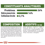 Royal Canin Mini Ageing +12 nourriture pour chiens âgés de races petites