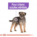Royal Canin Mini Adult Digestive Care nourriture pour chiens de taille petite