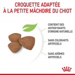 Royal Canin Mini Puppy nourriture pour chiots de petites races