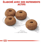 Royal Canin Medium Adult Sterilised alimentation pour chiens stérilisés de taille moyenne