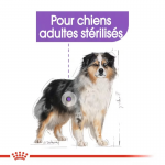 Royal Canin Medium Adult Sterilised alimentation pour chiens stérilisés de taille moyenne