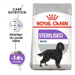 Royal Canin Maxi Adult Sterilised croquettes pour chien grand stérilisé