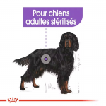 Royal Canin Maxi Adult Sterilised croquettes pour chien grand stérilisé