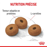 Royal Canin Maxi Adult Light Weight Care aliment pour chiens de races grandes