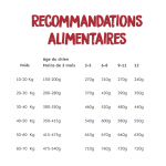 Croquettes pour Chiots Ownat Prime Grain Free Junior avec Poulet et Dinde